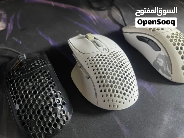 ماوسات كلوريس للبيع