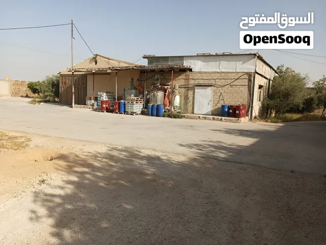 مصنع للايجار مقابل المنطقة الحرة
