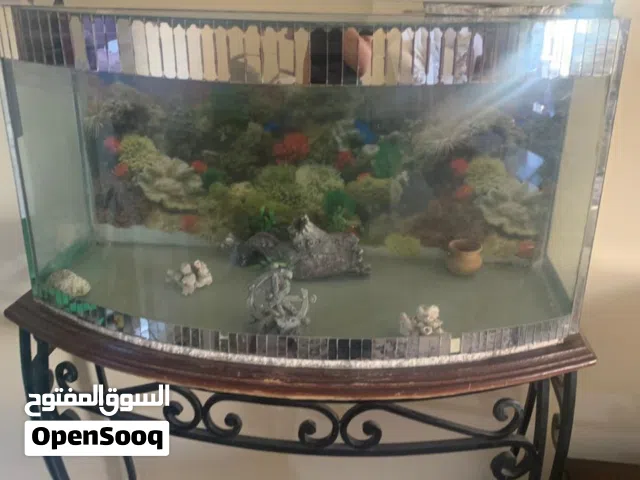 حوض سمك كيرف كبير مع قاعدة