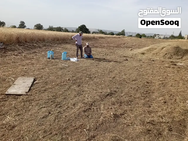تبن بيقيا بالصلاة على النبي