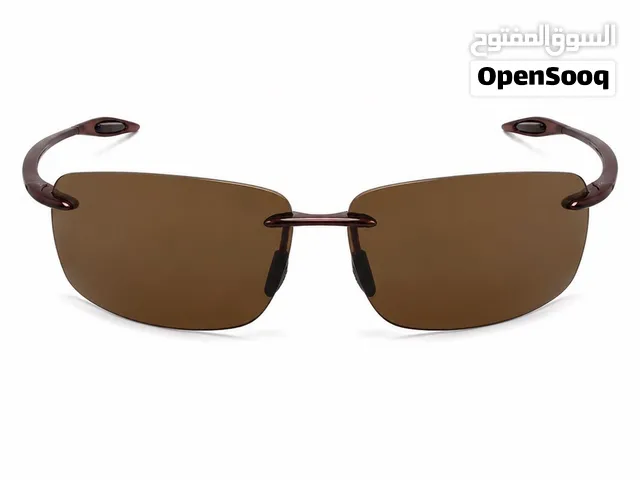 نظاره شيخ منصور بن زايد