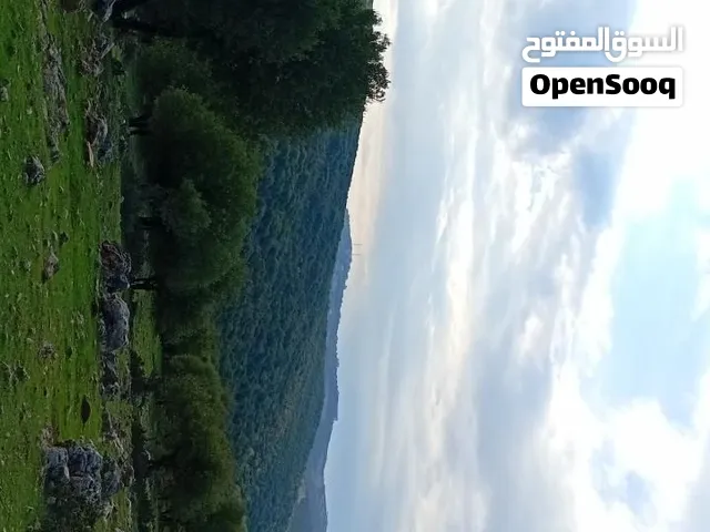 للبيع قطعه ارض مميزه في راس منيف مطله  على الغابات وبيت البسكوت تصلح للمشاريع السياحيه