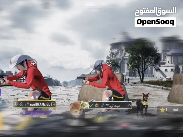Pubg Accounts and Characters for Sale in Tripoli