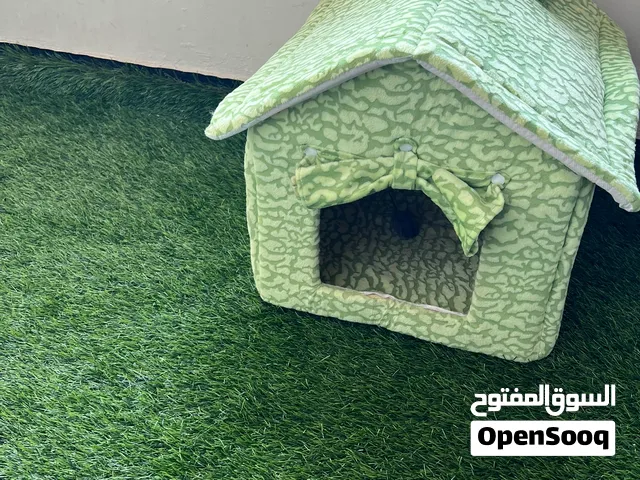 Cat Accessories at throw away price