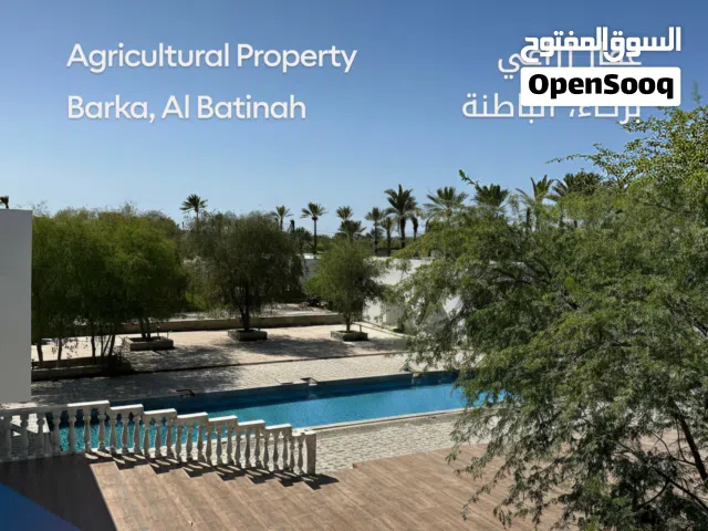 عقار زراعي حصري للبيع  بركاء، الباطنة Agricultural Property For Sale  Barka, Al Batinah