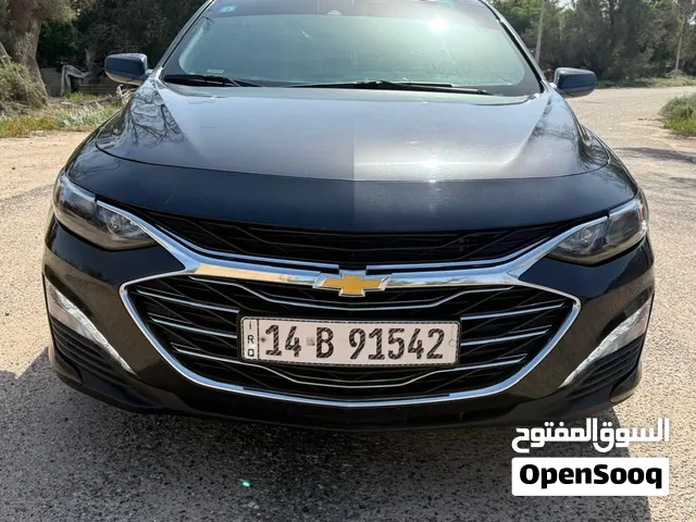 شوفر ليت ماليبو 2023
