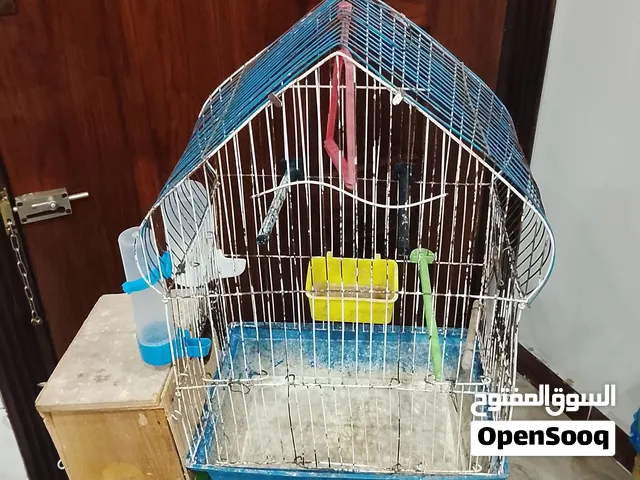 قفص بادجى بمشتملاته للبيع