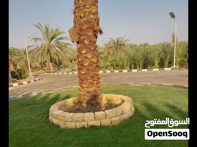 مقاول تركيب حجر عشوائي تلبيس وجدران بلدوره انترلوك توريد وتركيب