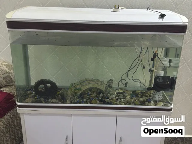 حوض سمك نظيف وفعال