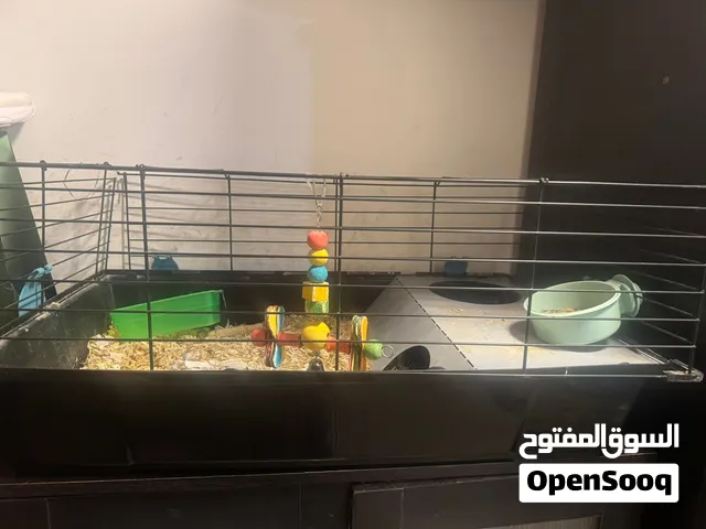 قفص للبيع .