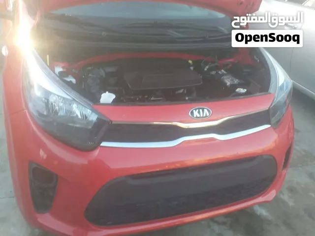 موديل 2019