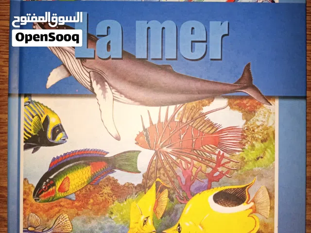 قصص تعليمية للأطفال