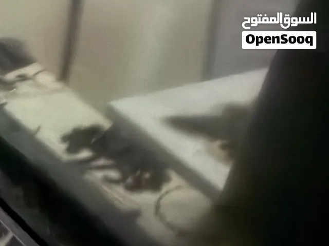 شاشت ال حي مستعملي نظيفي 300
