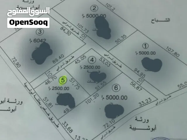 ارض 3هكتار طريق الصوبات انتفاع خالص ملك بشهاده عقاريه