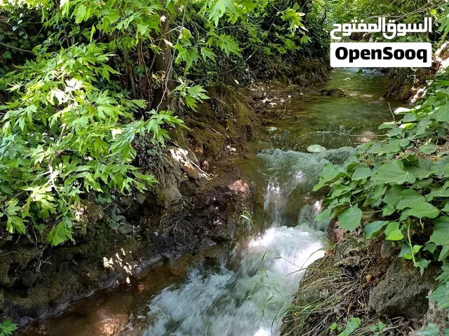 مطلوب غرفة صغير او ستديو صغير  بي هل منطقة  من بعد اذنكن لي  عندو او بيعرف حدا يفيدنا   تواصل ع رقم
