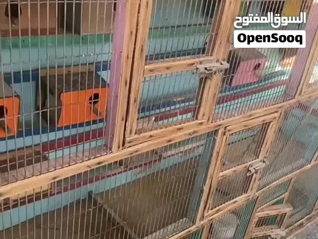 قفص طيور هو وملحقاته