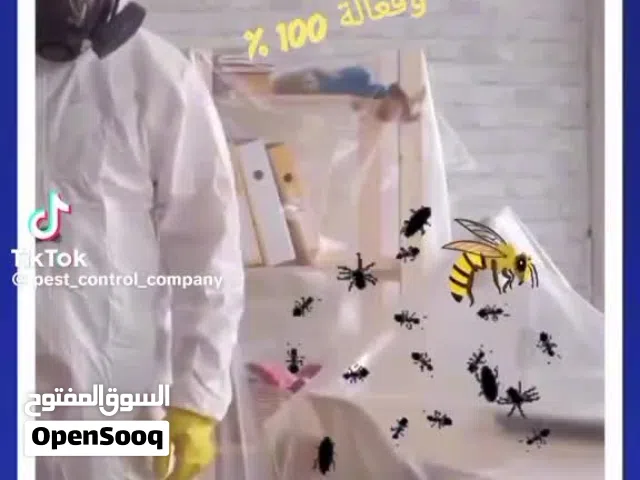 شركه مكافحة حشرات فى العين وأبو ظبى