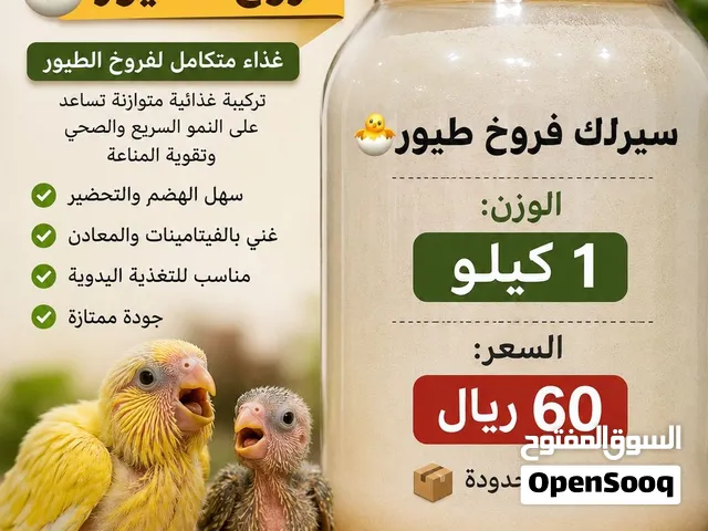سيرلاك غر فروخ الطيور