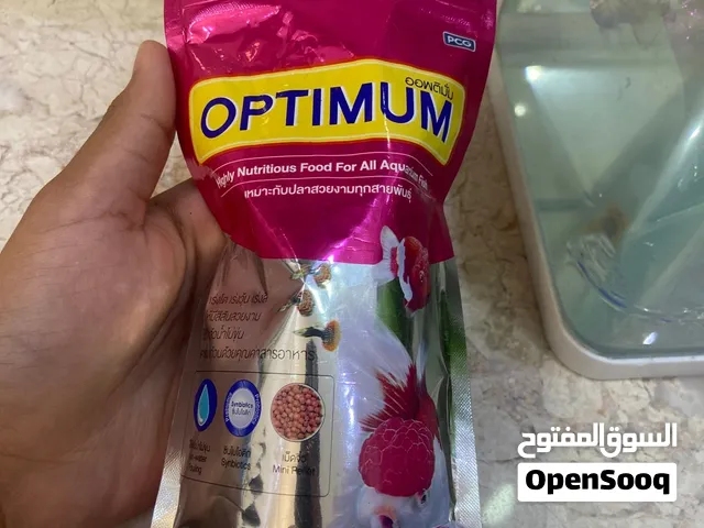 اسماك الزينه