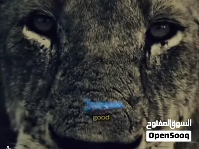 ثلاجه بحاله ممتازه جدا للبيع