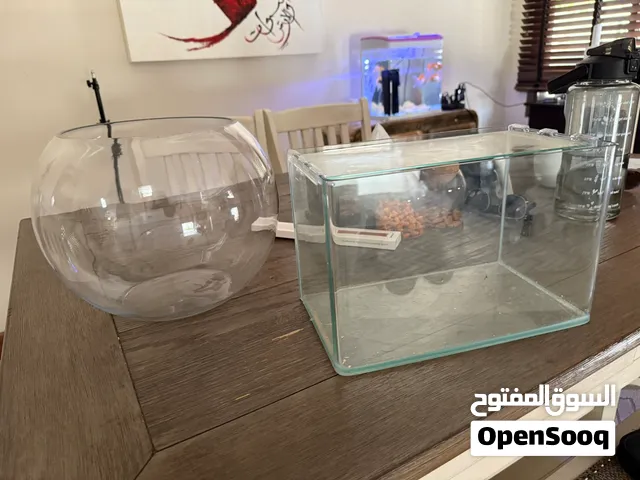Fish aquarium and terrarium for land turtle