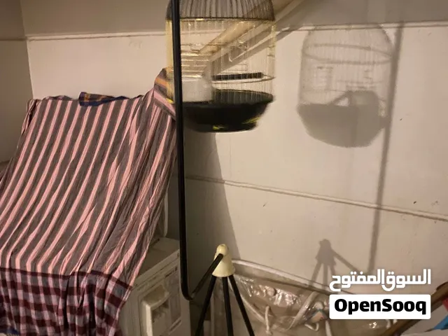 قفص عصافير