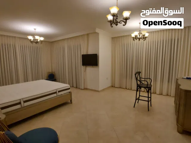 فيلا مفروشة سوبر ديلوكس اعلان رقم (V37)
