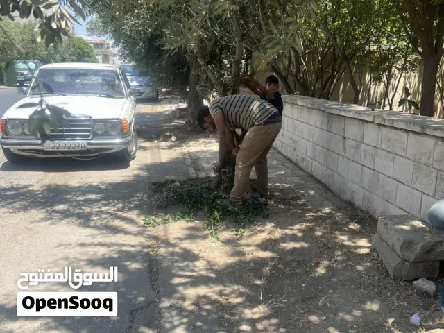 تنظيف بيوت قص شجر تسليك مناهل شطف تنظيف داخلي وخارجي شبابيك ابواب تعزيل طمم تامين قلاب وعمال صيانة