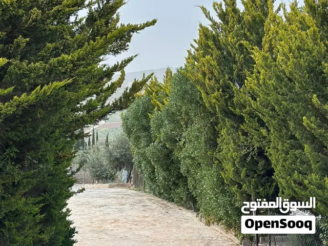 3 Bedrooms Farms for Sale in Jerash Tal Al-Rumman