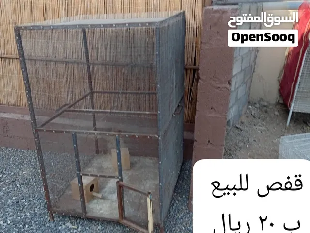 اقفاص للطيور