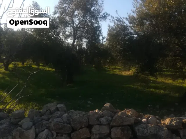 ارض زراعية
