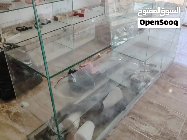 فتيرنات البيع
