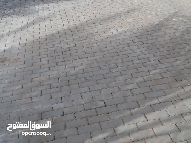 المجموعة اسطي العاشق والمعشوق والبندورات في طرابلس وضواحي وحدائق وحدائق