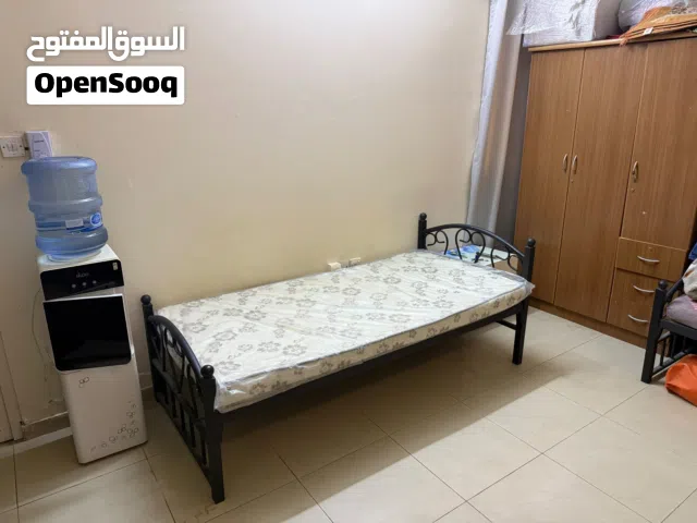 Executive Bedspace for Males in Sharjah Muwelah Commercial