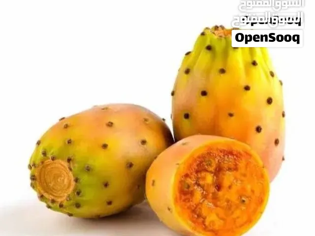 صبر مقشر مادبا سوبررررررر جامبوووو
