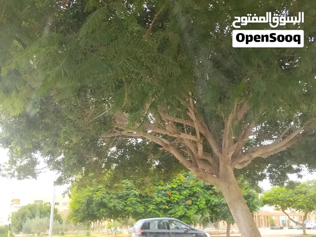 شقة للبيع غرغور