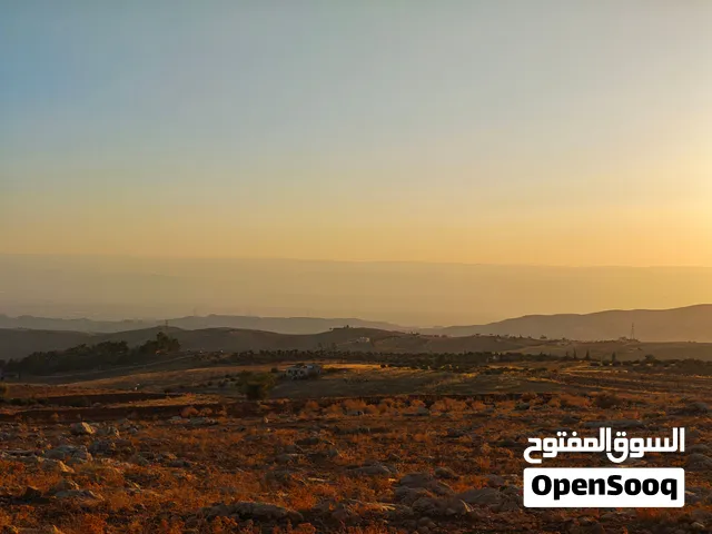 ارض للبيع في عراق الامير حوض ابو السمسم