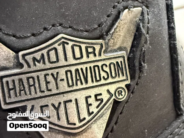 2  Harley Davidson boots