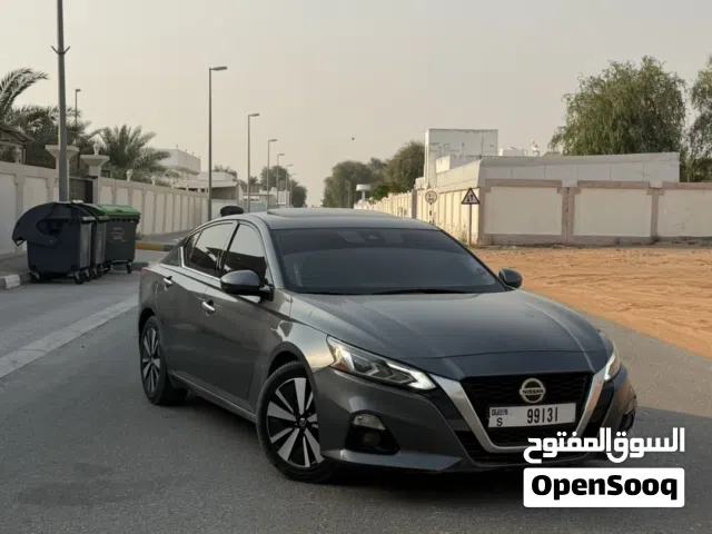 التيماء 2020