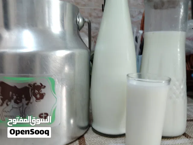 بيع حليب البقر الطازج من مزرعة بشكل يومي لتر ونص غرشة