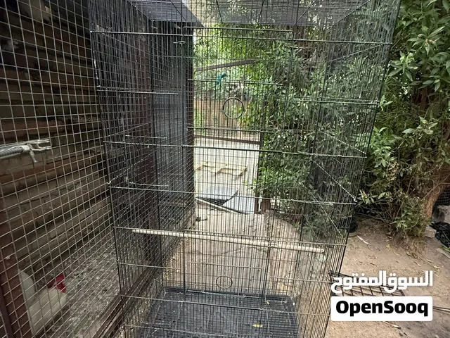 قفص طيور الحب او كوكتيلات او فناجز كلشي يرهم جبير كلش راسلني وبخدمتك لان جاي اصفي بقه اخر شي هذه