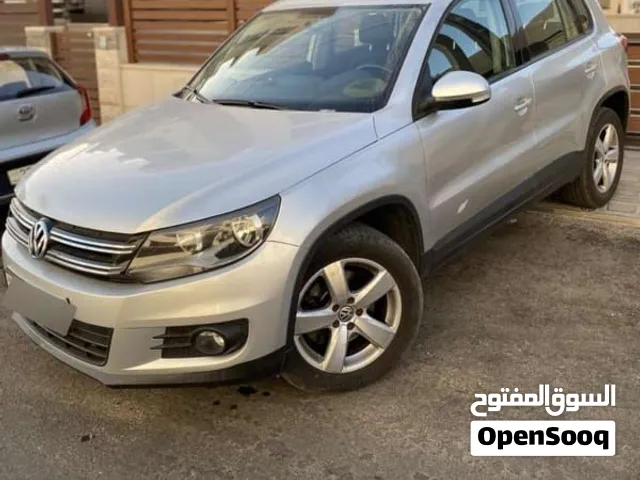فولكسفاجن تيجوان 2012 دهان الشركة