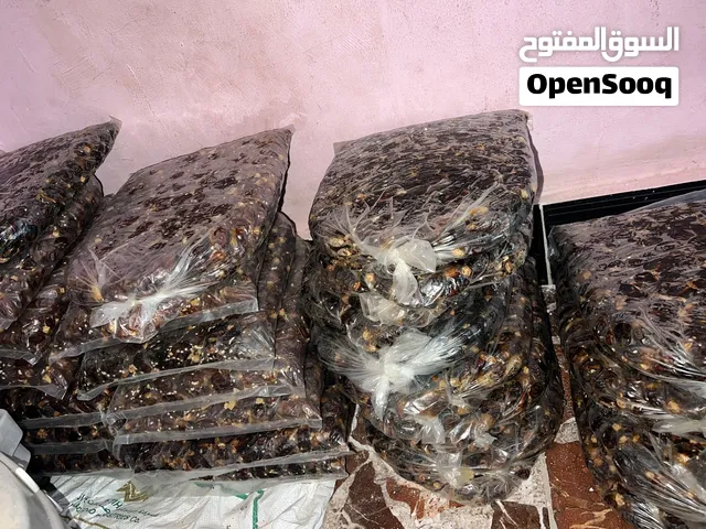 تمر بريم للبيع