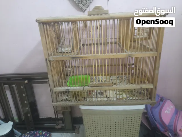 قفص بلبل السعر 30 صيادي وبدون صيادي بي مجال
