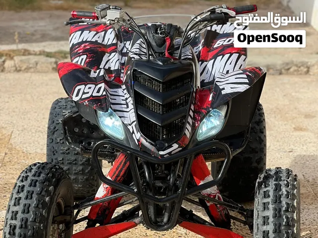 رابتر 2008