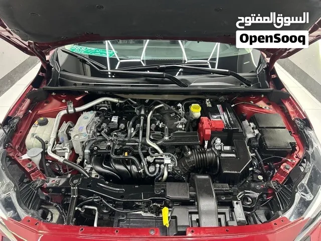 نسيان سنترا للبيع