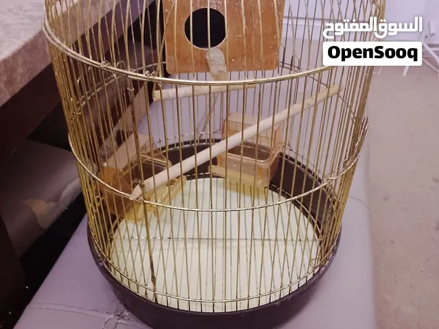 beautiful bird's cage with nesting box