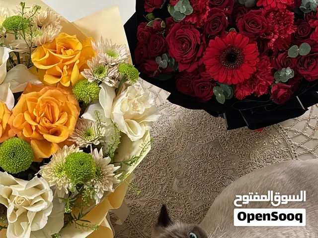 هملايا للتزاوج