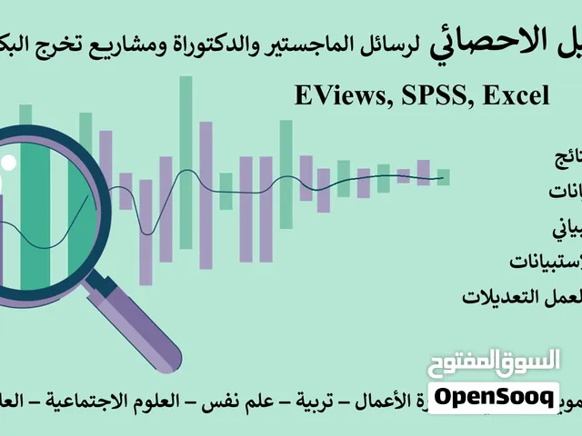 تحليل إحصائي واستشارات قياسية لرسائل الماجستير والدكتوراه (SPSS / EViews / Excel)