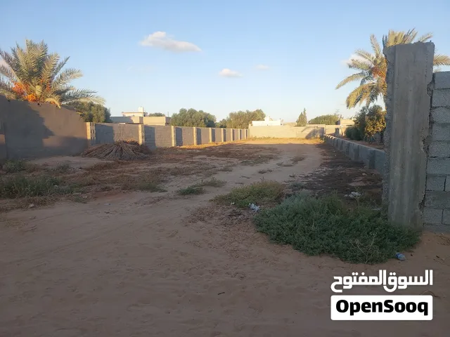 قطعة ارض  سكتيه بامتياز